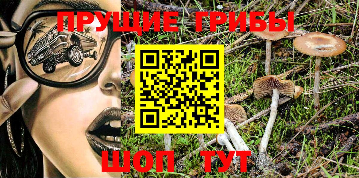 Сарапул  Псилоцибиновые грибы Magic Shrooms  Вход с VPN 